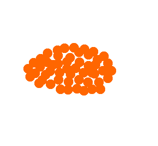 my brain