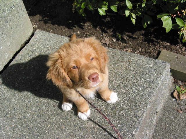 Sunny Finney
